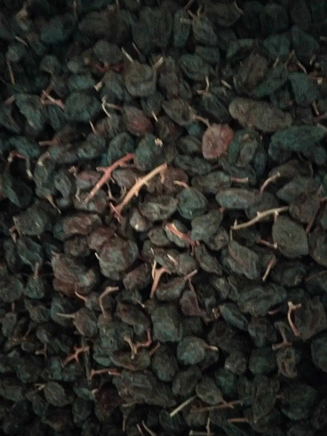 کشمش آفتابی بدون تیزاب|خوردنی و آشامیدنی|نجف‌آباد, امام خمینی|دیوار