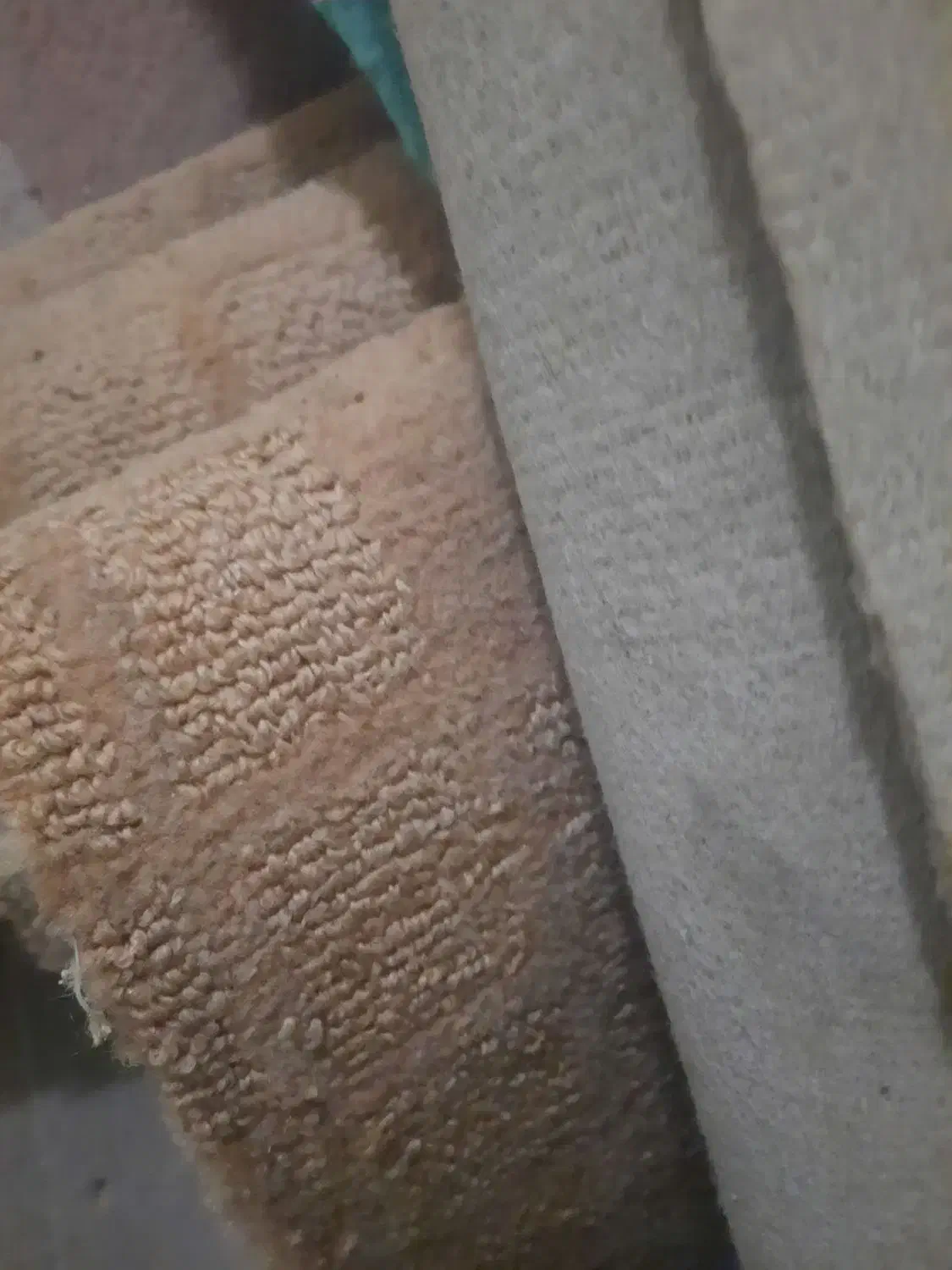 موکت|موکت|طرقبه, |دیوار