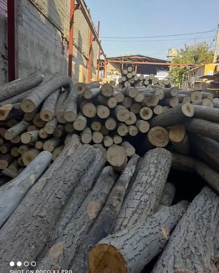 خریدار چوب به قیمت|خدمات باغبانی و درختکاری|دورود, |دیوار