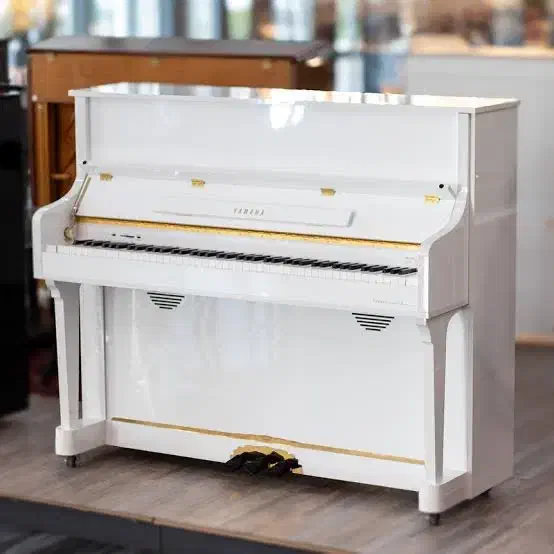 خرید اقساطی پیانو طرح آکوستیک بدون پیش پرداخت|پیانو، کیبورد، آکاردئون|شیراز, معالیآباد|دیوار