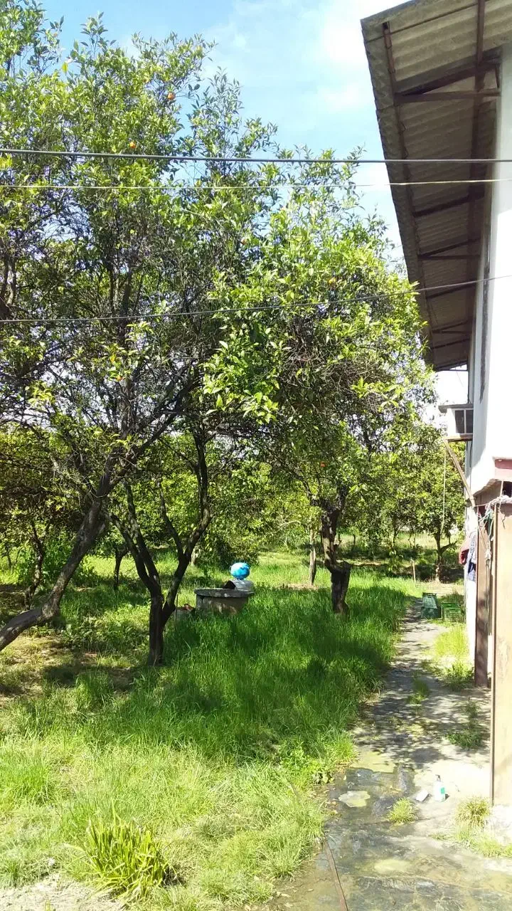 خونه باغ زیبا|فروش خانه و ویلا|ارطه, |دیوار