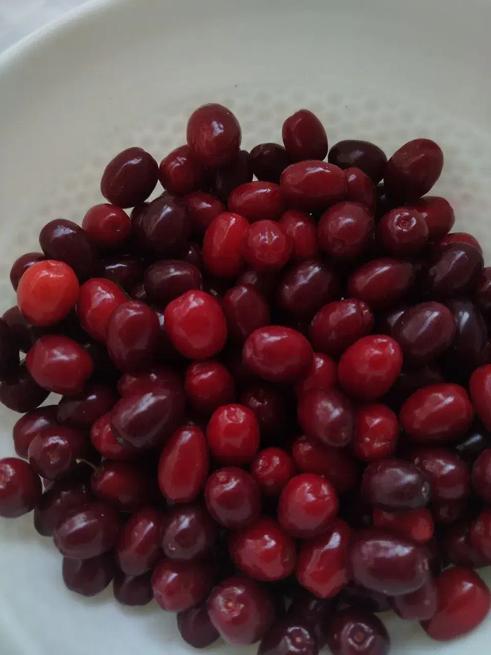 رب زغال اخته|خوردنی و آشامیدنی|محمدیه-قزوین, |دیوار