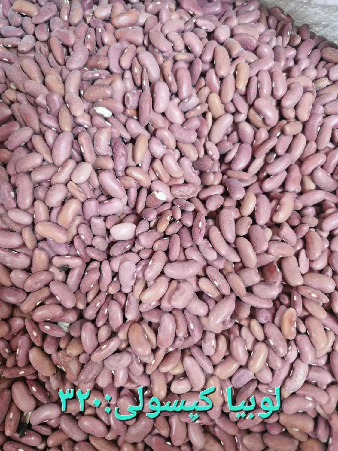 انواع حبوبات ایرانی|خوردنی و آشامیدنی|تهران, ائمه اطهار|دیوار