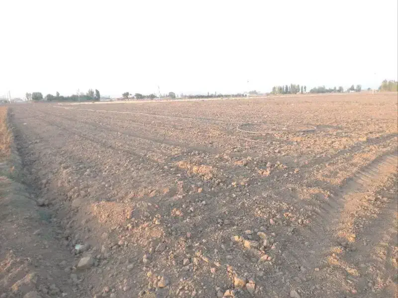 فروش زمین کشاورزی آبی|فروش دفتر صنعتی، کشاورزی، تجاری|بهار, |دیوار