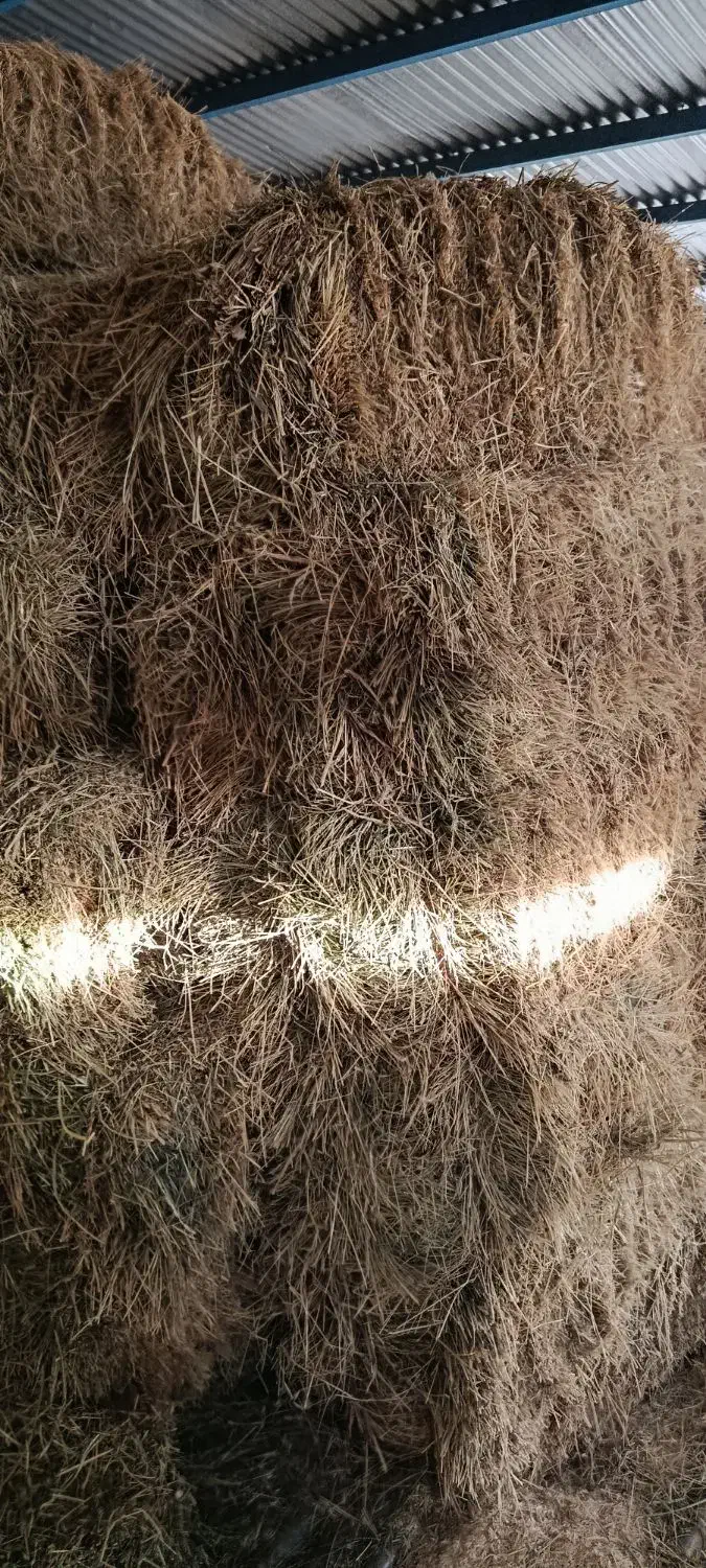 یونجه|لوازم جانبی حیوانات|لالجین, |دیوار