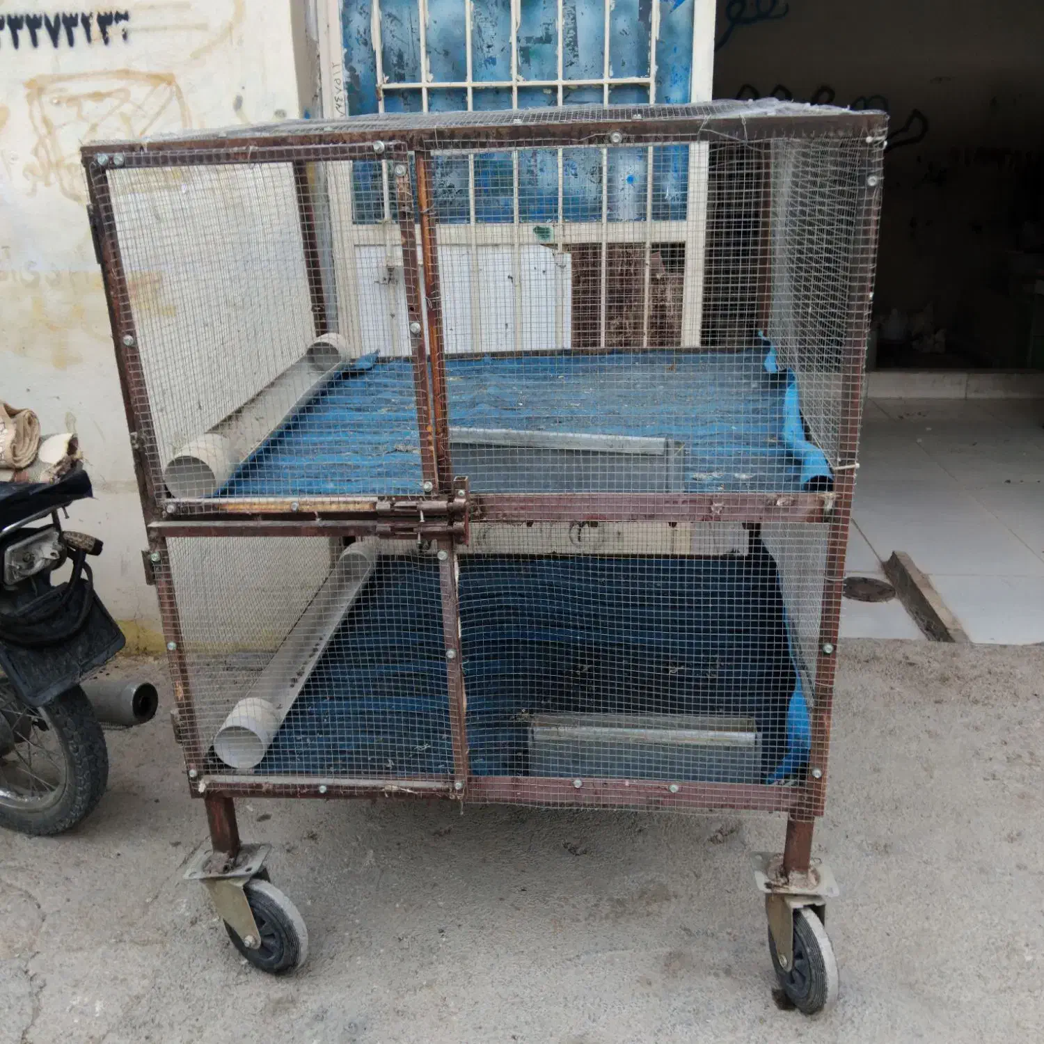 قفس بزرگ|حیوانات مزرعه|ایلام, |دیوار