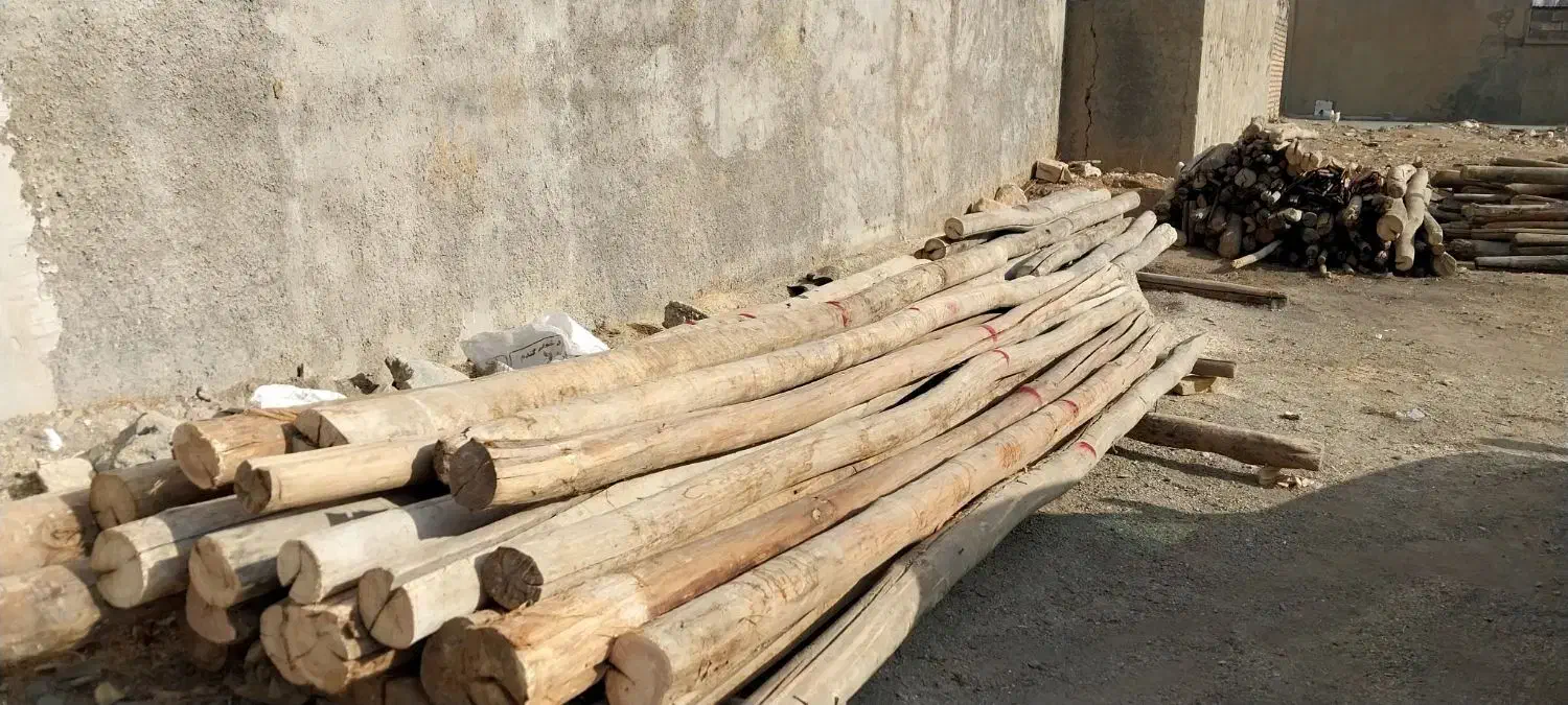 خرید و فروش انواع چوب و تخته چوب وچنار سقفی|عمدهفروشی|کوزران, |دیوار