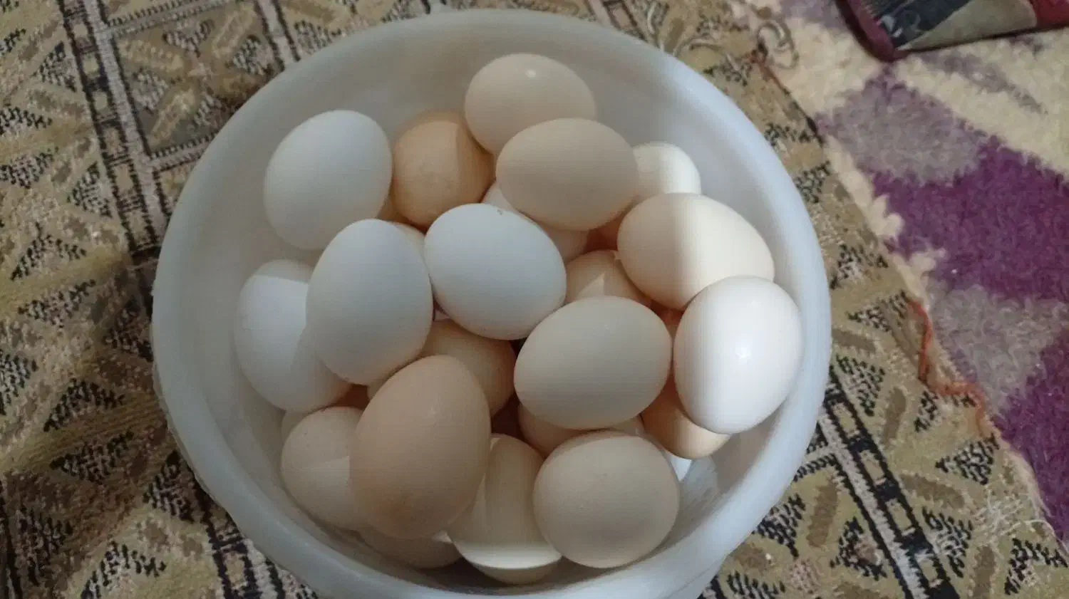 تخم‌مرغ محلی|خوردنی و آشامیدنی|ایذه, |دیوار