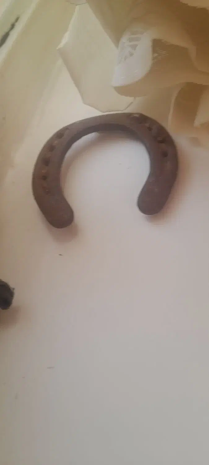 نعل قدیمی|کلکسیون اشیاء عتیقه|قم, شاه ابراهیم|دیوار