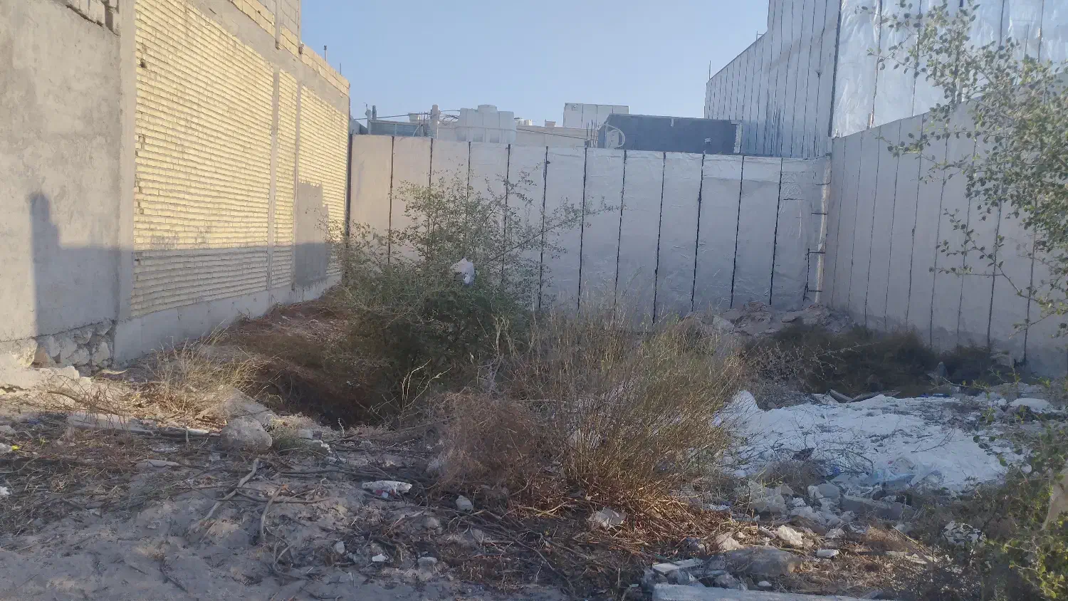 فروش زمین خیابان دوستی مال خلیفه ای|فروش زمین و ملک کلنگی|بندر گناوه, |دیوار