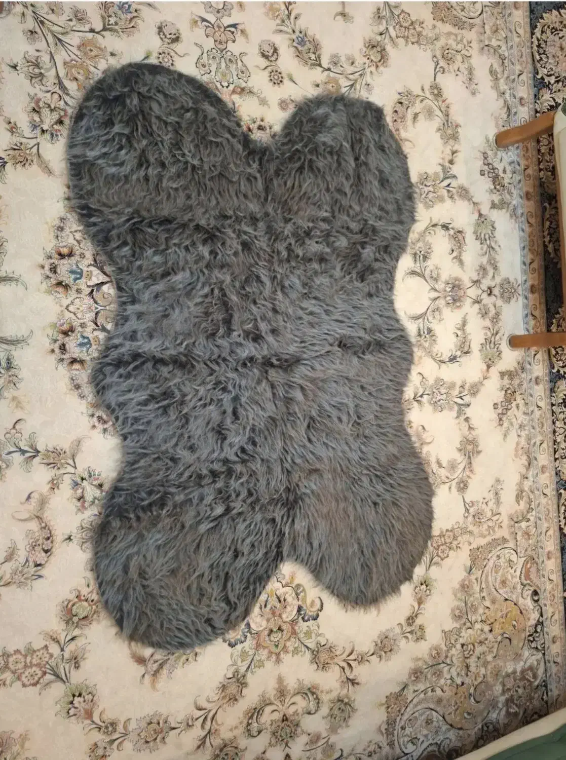 فرش ماشینی فانتزی|فرش|مشهد, هنرستان|دیوار