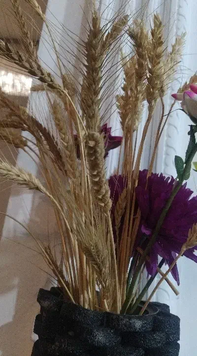 گندم آبی|صنایع دستی و سایر لوازم تزئینی|مرودشت, کوشک|دیوار