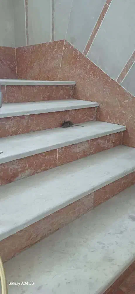 فروش ملک تجاری|فروش مغازه و غرفه|قم, حنیف نژاد|دیوار