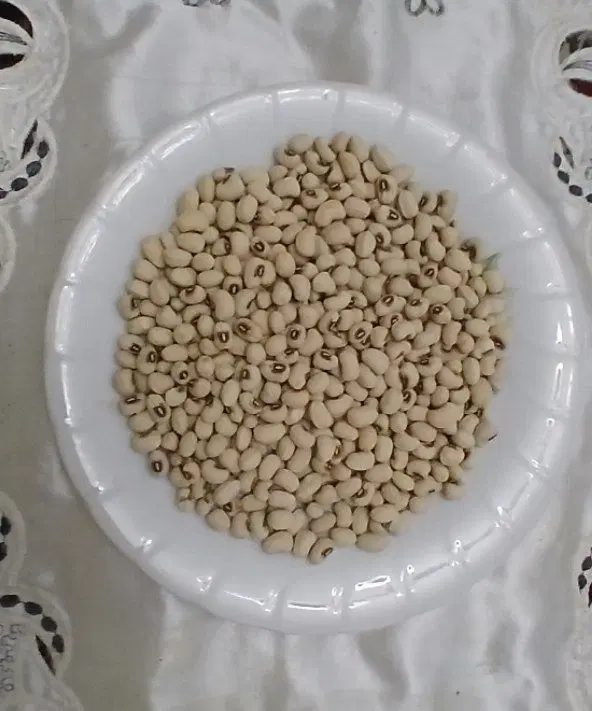 لوبیا چشم بلبلی اعلا ۴۷۰ کیلو|خوردنی و آشامیدنی|تهران, خانیآباد|دیوار