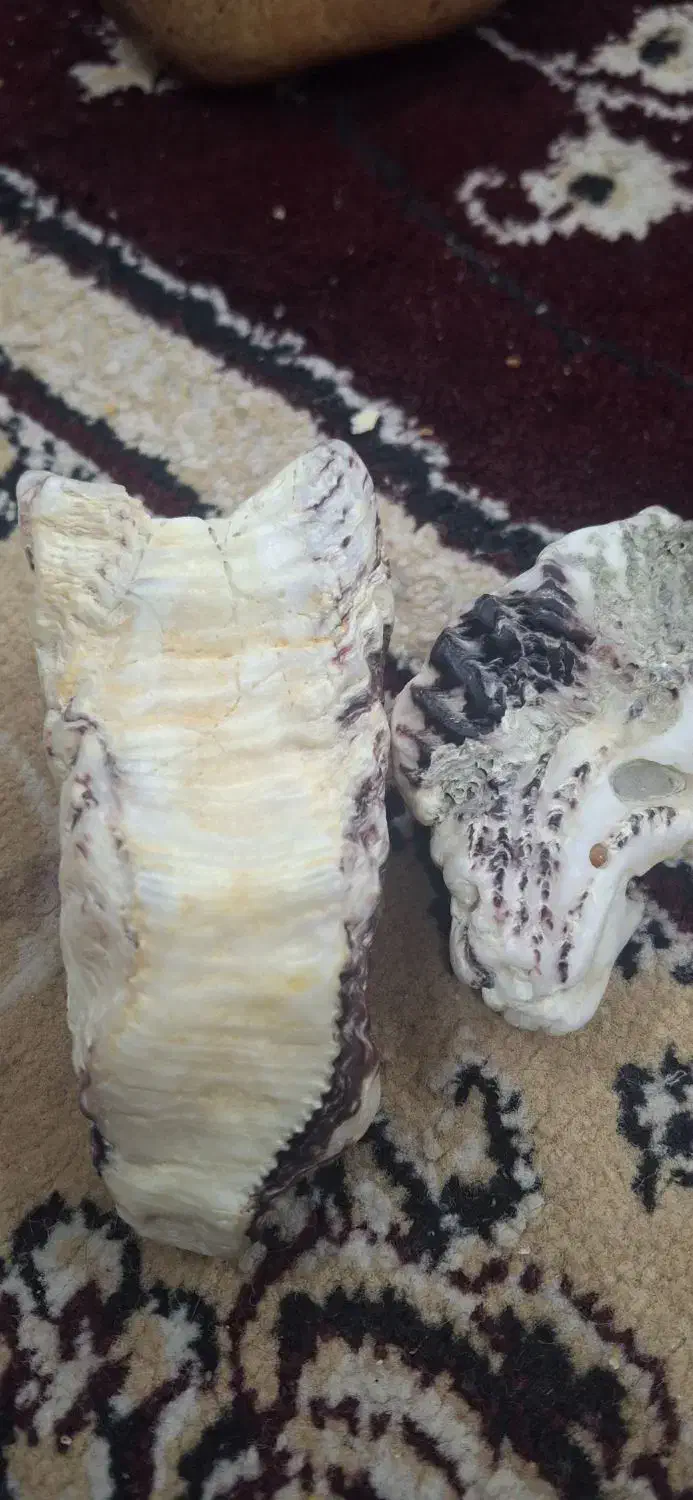 سنگ|جواهرات|دزفول, |دیوار