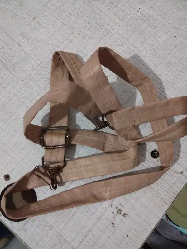 کیف زنانه|کیف، کفش، کمربند|نیشابور, خط کاشمر|دیوار