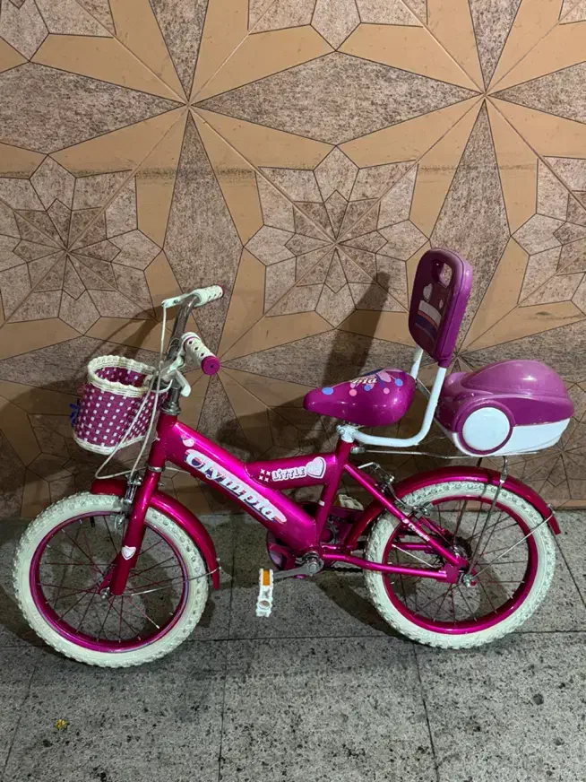 دوچرخه|دوچرخه، اسکیت، اسکوتر|اسلام‌شهر, باغ فیض|دیوار