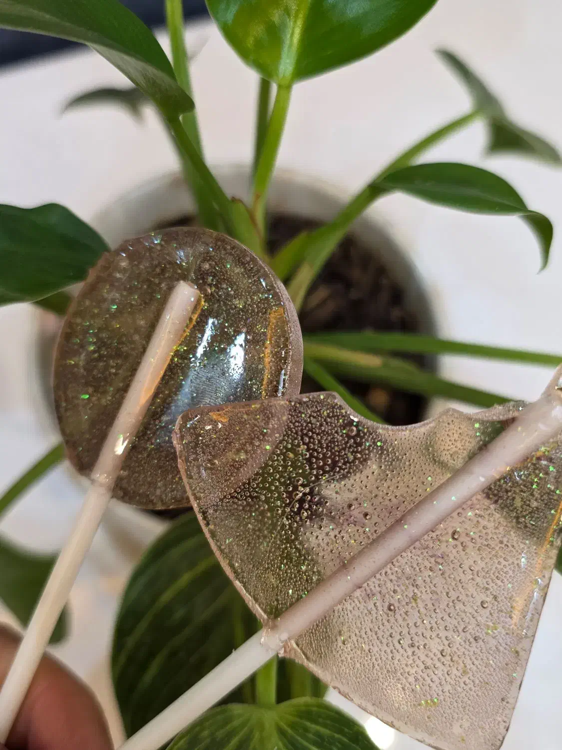 آبنبات شاین دار|خوردنی و آشامیدنی|اصفهان, خواجه عمید|دیوار