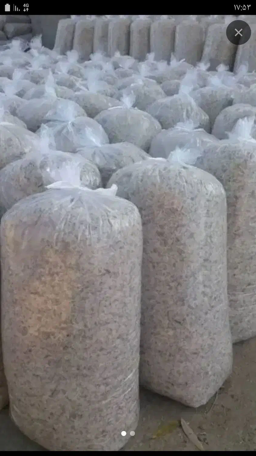 تفاله چغندر بسته بندی شده|عمده‌فروشی|گنبد کاووس, |دیوار