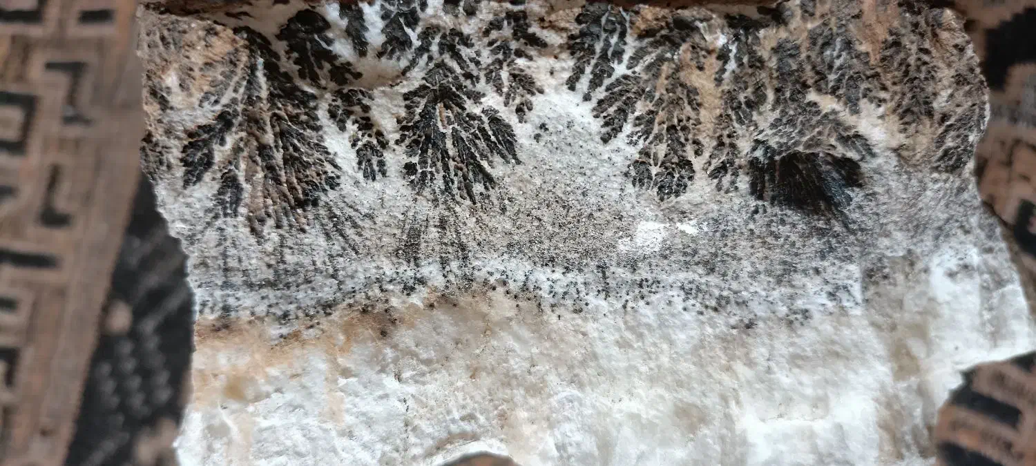 سلامفروشسنگشجر|جواهرات|بردسیر, |دیوار