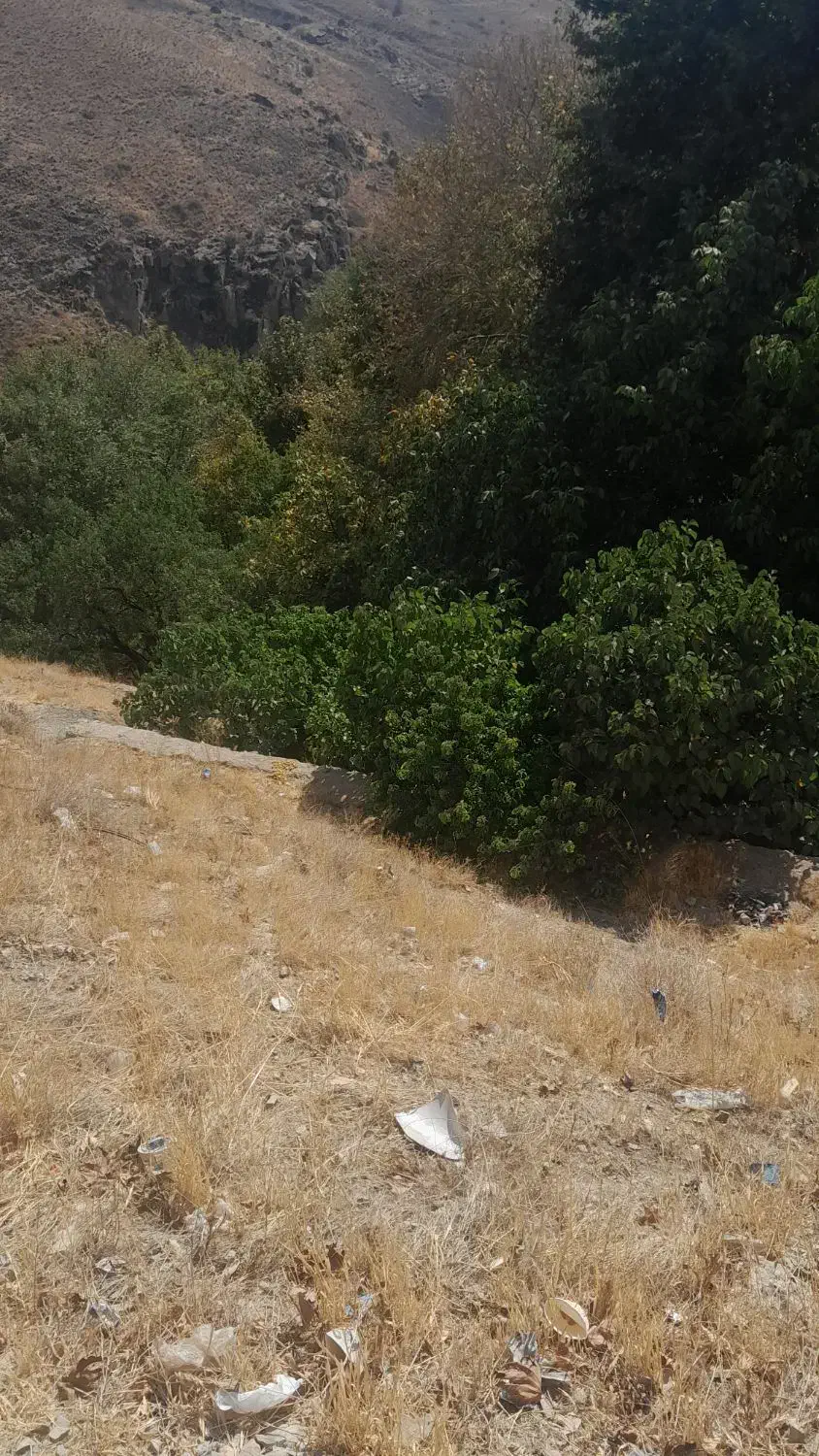 باغ فوری فروشی|فروش دفتر صنعتی، کشاورزی، تجاری|کن, |دیوار