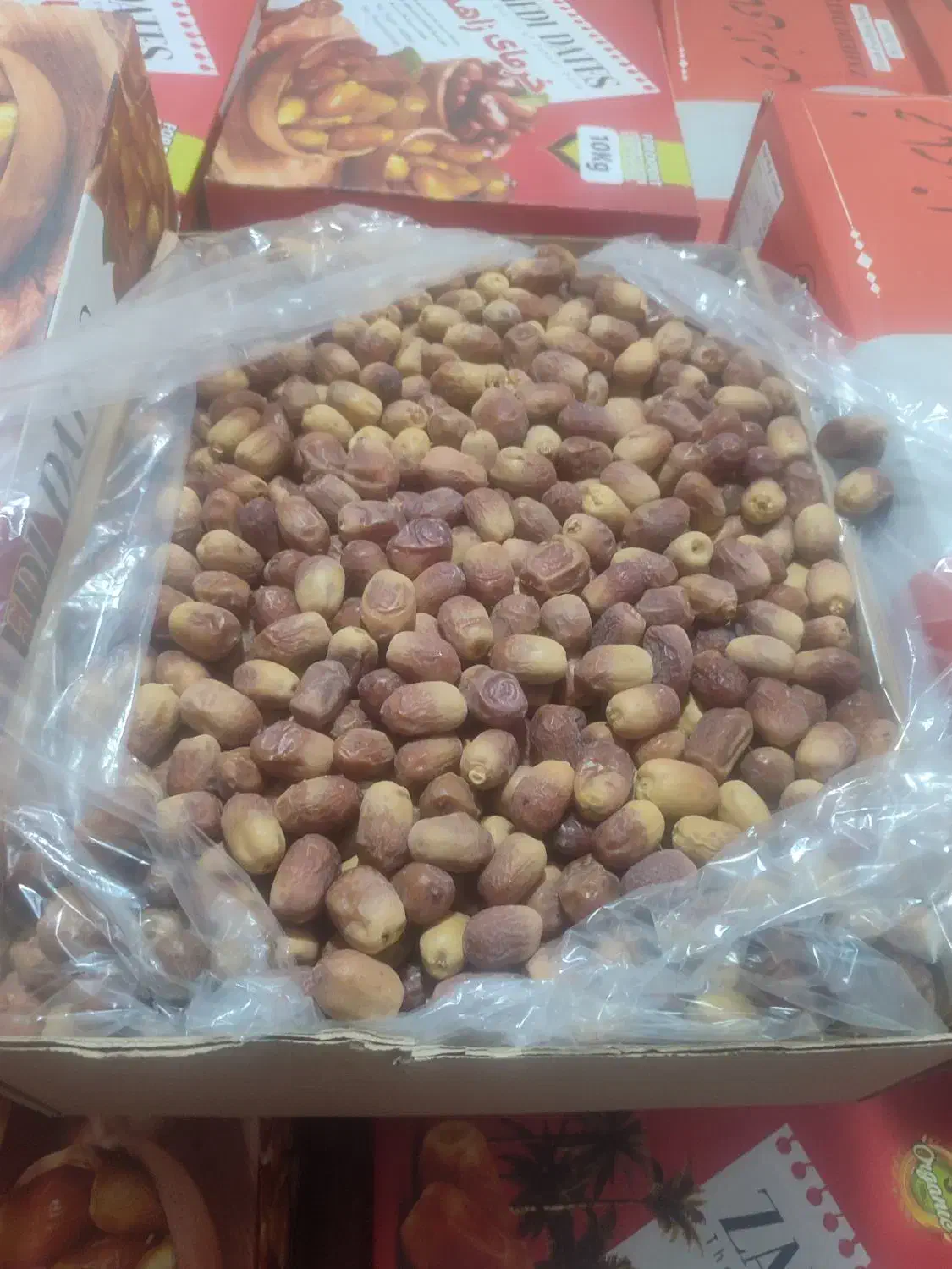 قصب یا زاهدی|عمدهفروشی|برازجان, |دیوار