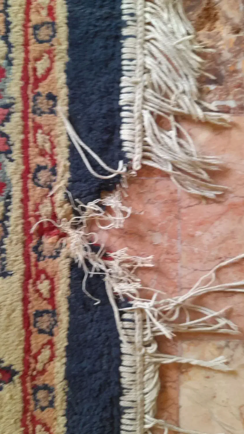 فرش طرح سنتی|فرش|سبزوار, مدرس|دیوار