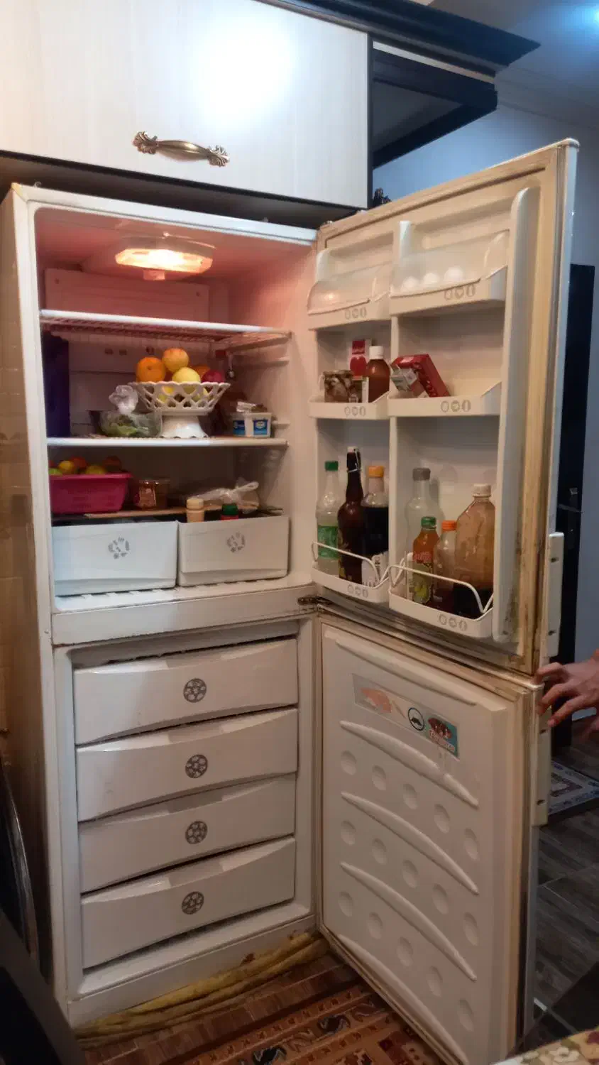 لوازم خانگی|یخچال و فریزر|لشت نشا, |دیوار