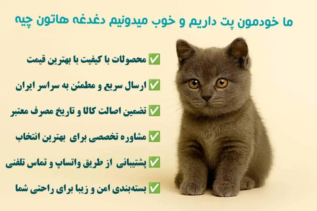 غذای خشک سگ و گربه بهترین قیمت|لوازم جانبی حیوانات|شیراز, بعثت|دیوار
