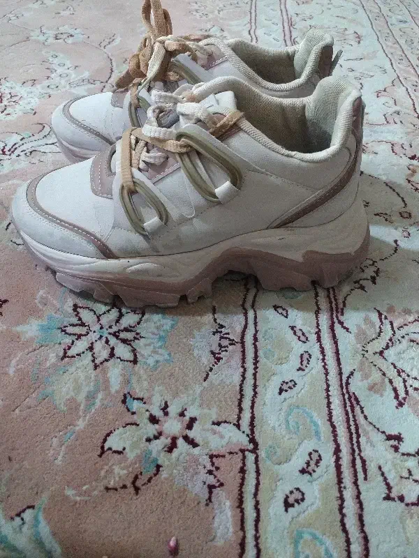 کفش|کیف، کفش، کمربند|مشهد, نوده|دیوار