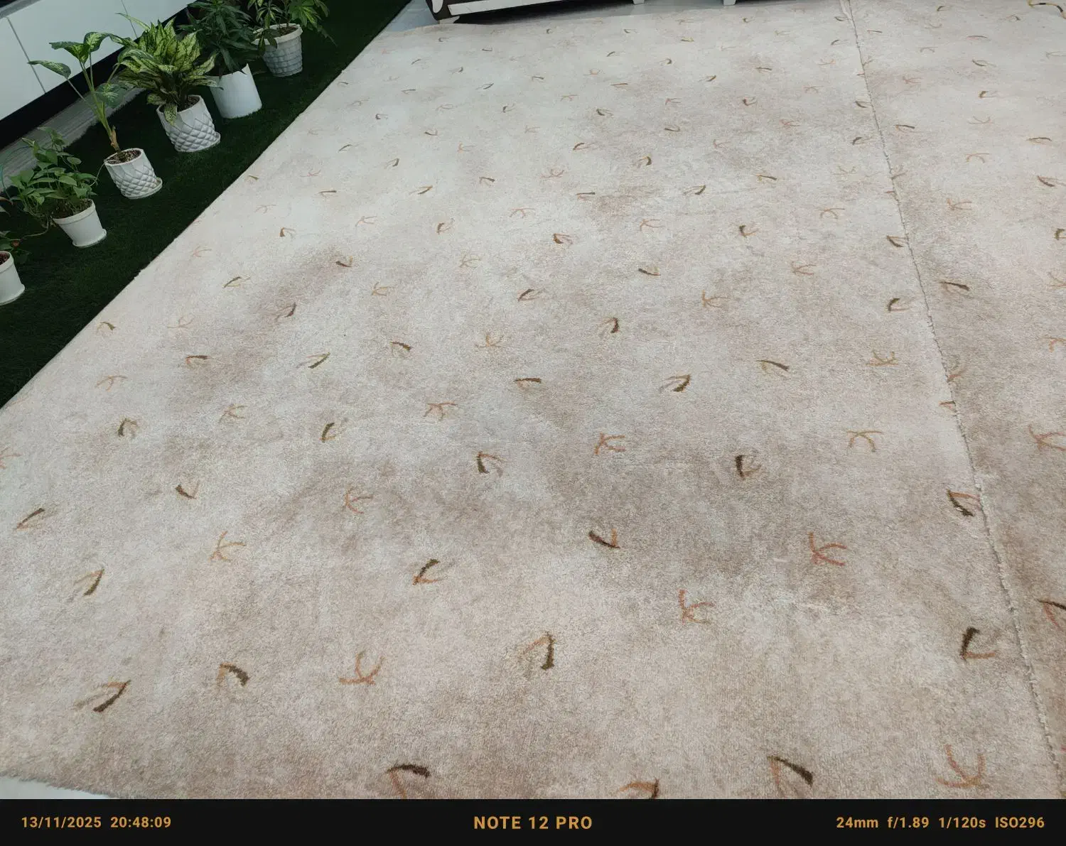 پالاز موکت|موکت|خشت, |دیوار