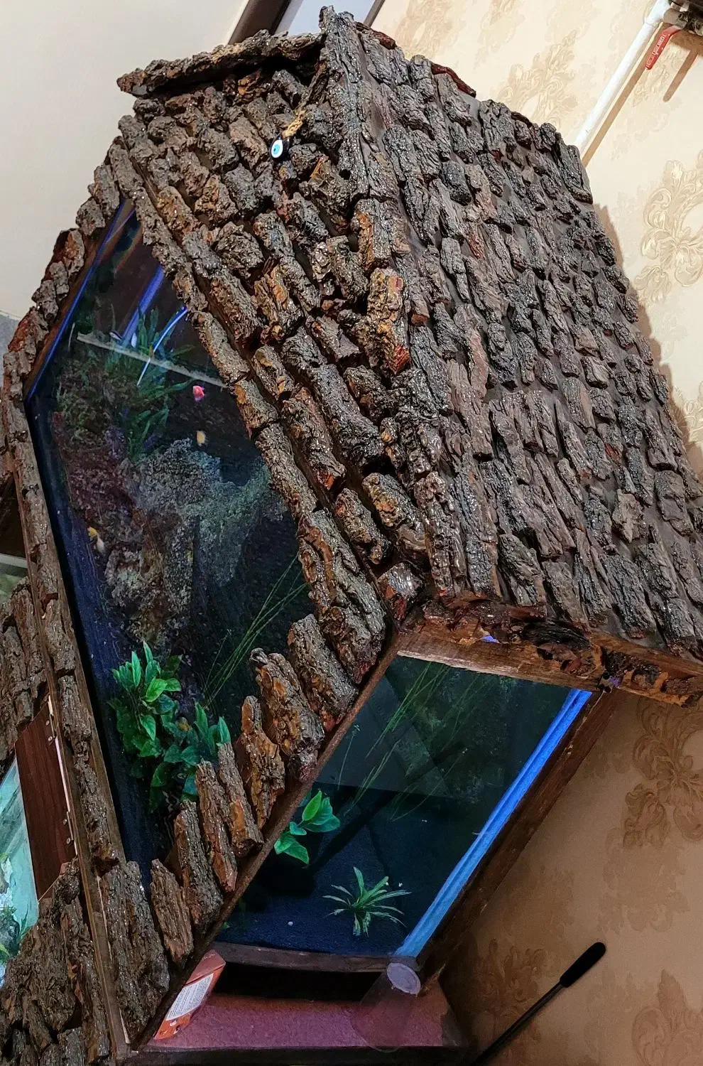 آکواریوم|ماهی|کرمانشاه, |دیوار