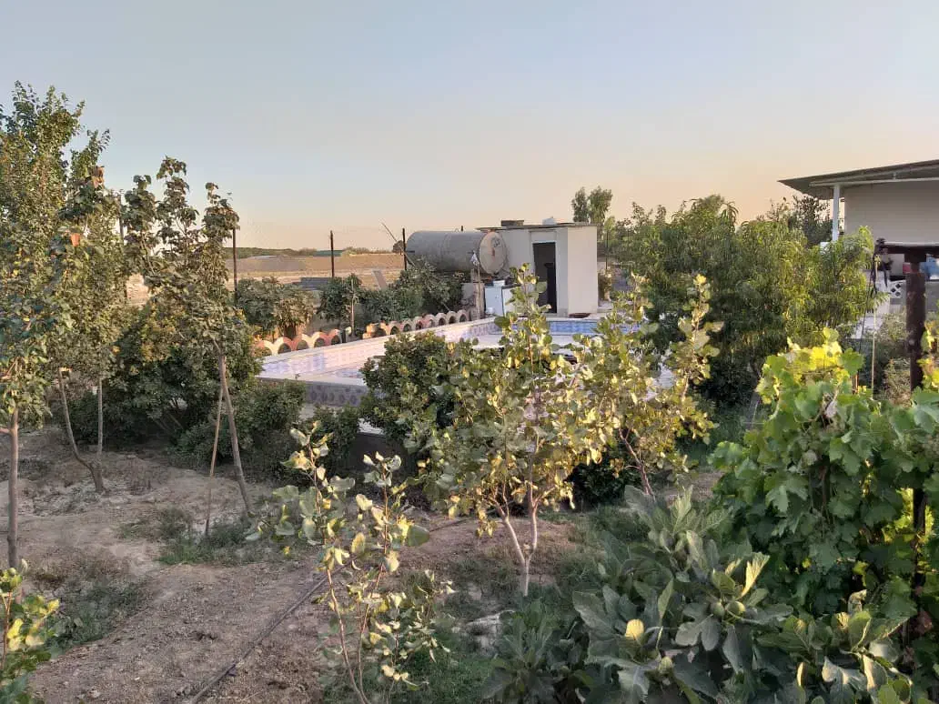 باغ ویلا|فروش خانه و ویلا|قرچک, صالح آباد|دیوار