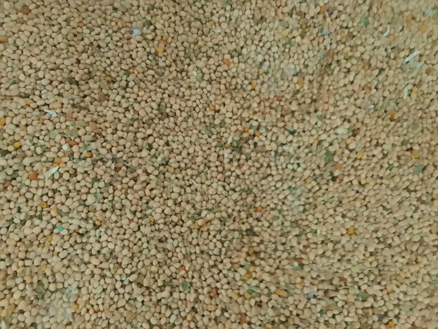 مقدار لوبیا اشی کشت خودم دلال نیستم تمز وتازه|عمده‌فروشی|بدره, |دیوار