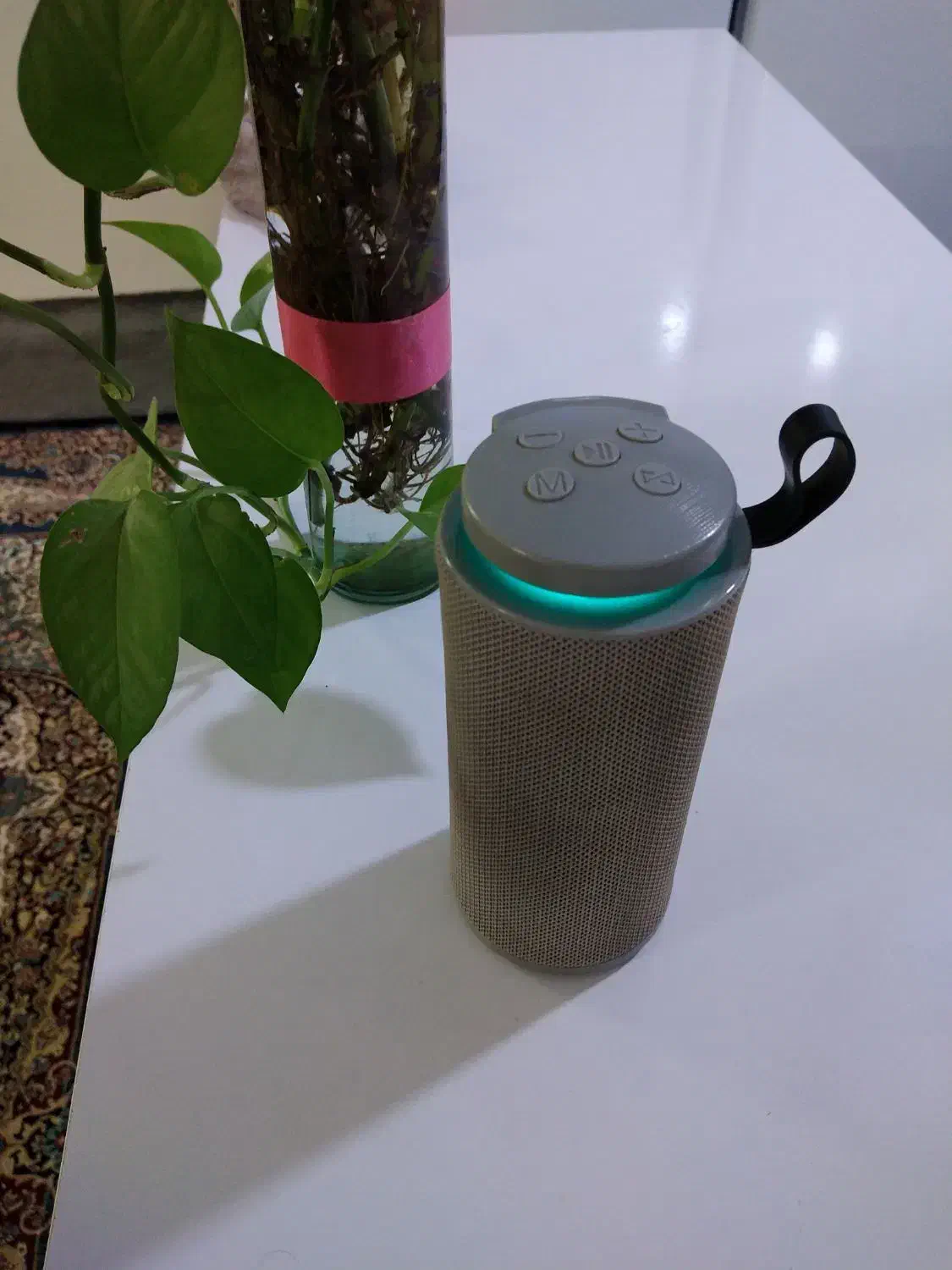 اسپیکر بلوتوثی|پخشکننده همراه|مشهد, مصلی (کارمندان اول)|دیوار