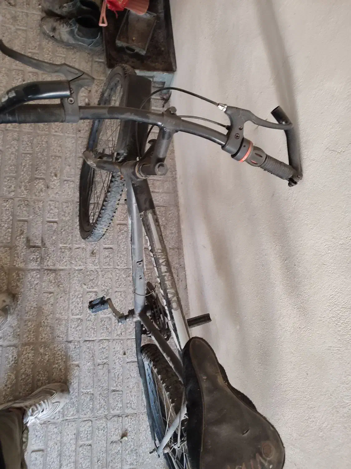 دوچرخه ۲۶|دوچرخه، اسکیت، اسکوتر|کرمانشاه, |دیوار