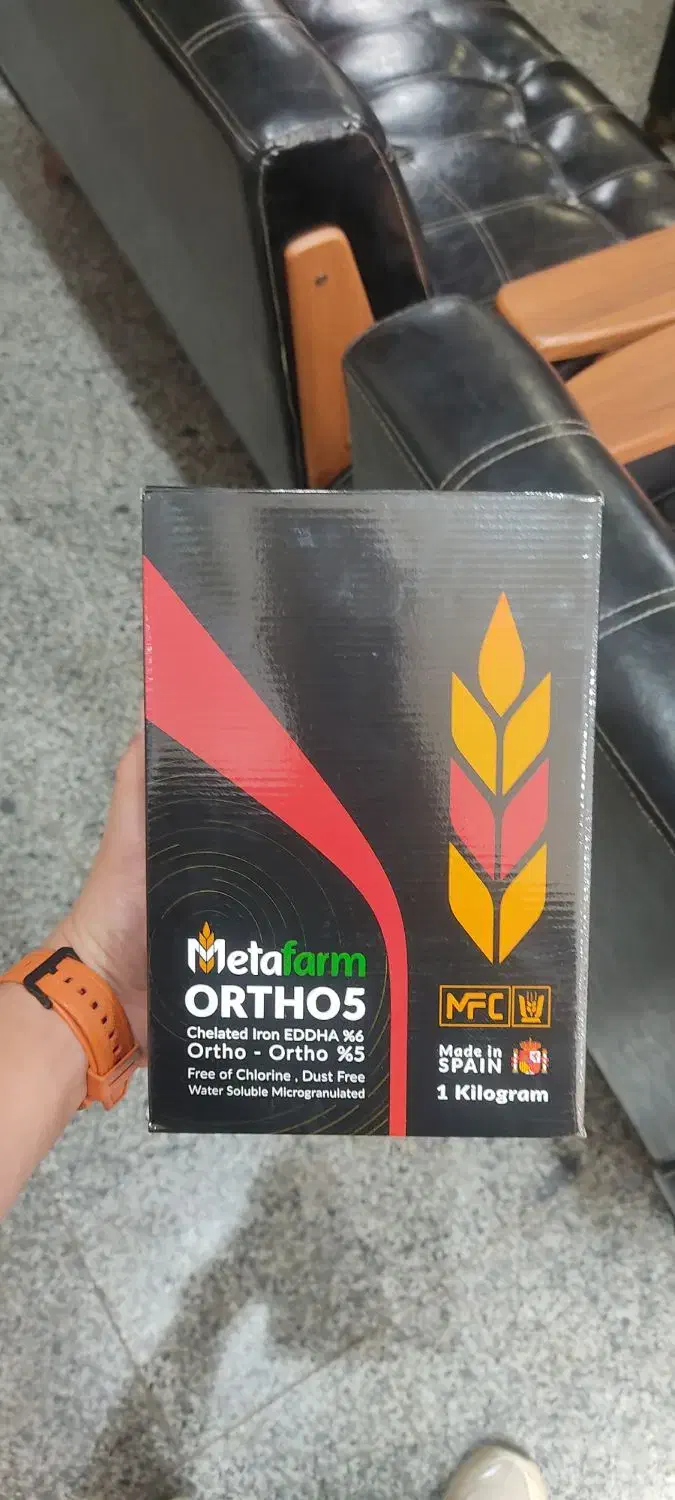 کود آهن اورتو 5|گل و گیاه طبیعی|بندرعباس, |دیوار