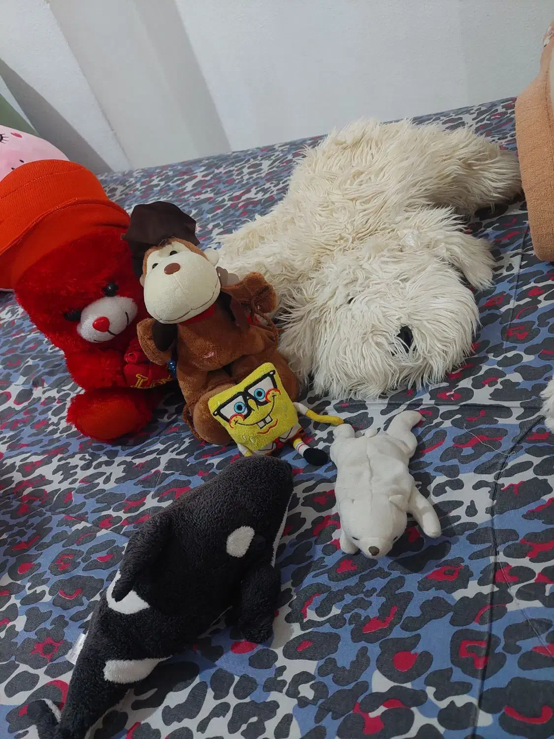 عروسک|اسباب‌‌بازی|شیراز, گلکوب|دیوار