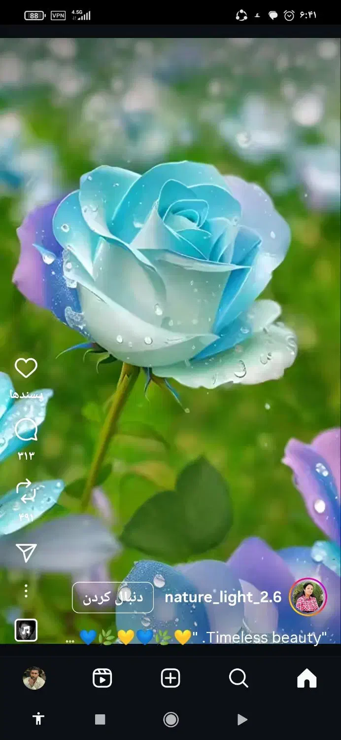 باغبان.انجام کلیه کارهای باغبانی|خدمات باغبانی و درختکاری|قم, نیروگاه|دیوار