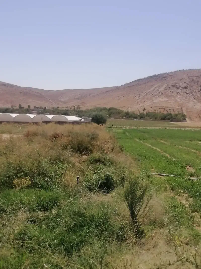 فروش ۱۰۰۰ متری در شهرک گلستان|فروش دفتر صنعتی، کشاورزی، تجاری|شیراز, شهرک گلستان|دیوار