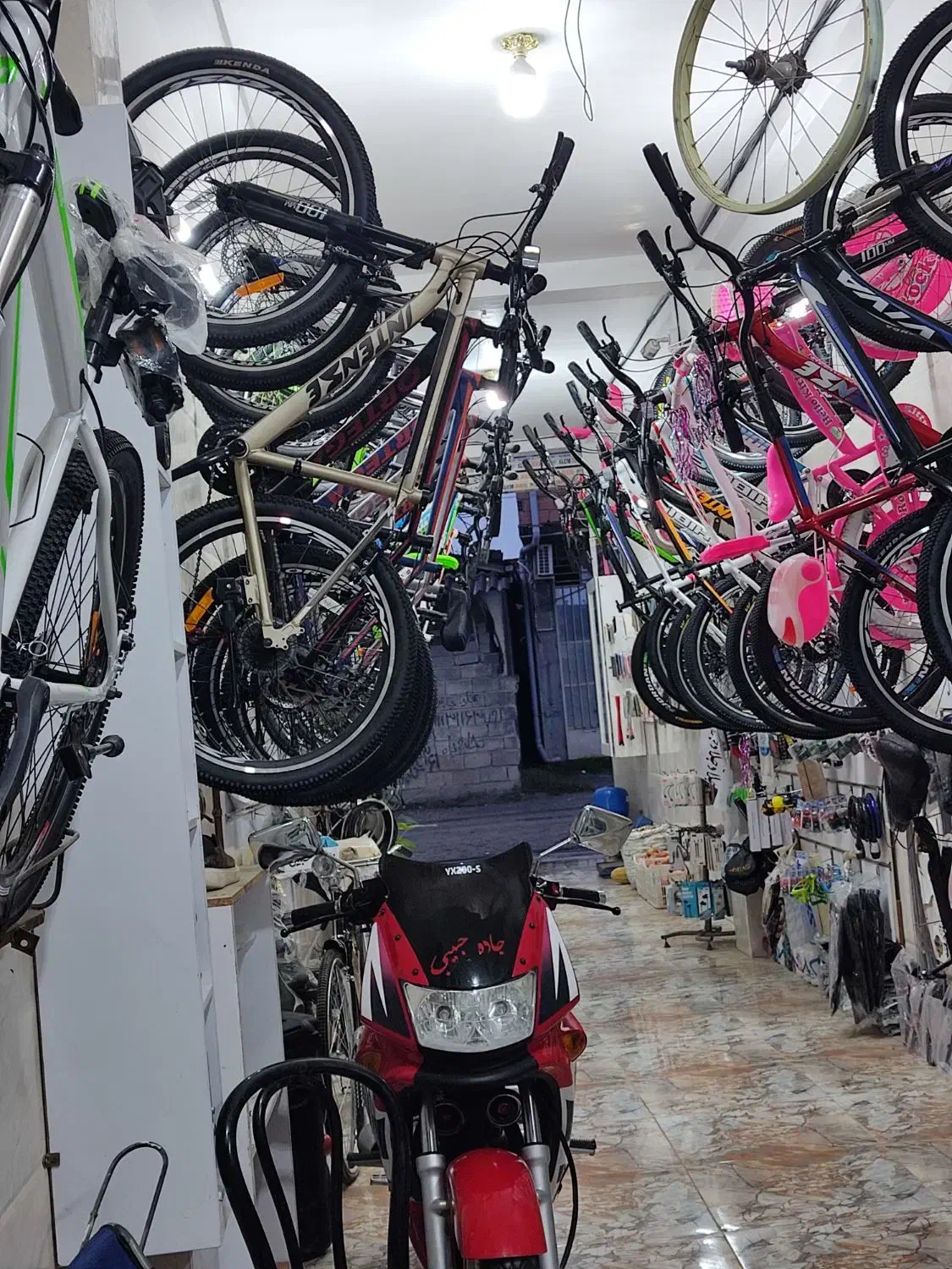 دوچرخه فروشگاه عزیززاده|دوچرخه، اسکیت، اسکوتر|بابل, |دیوار