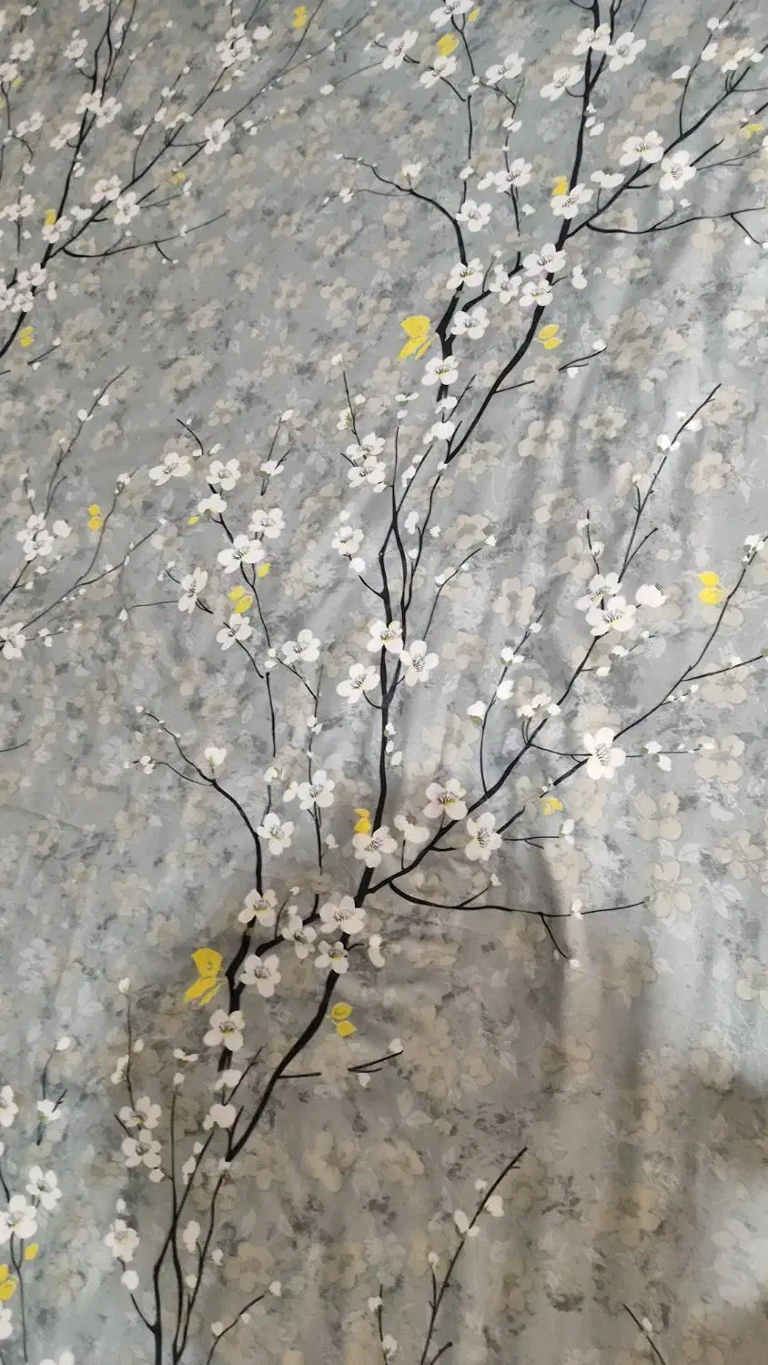 روتختی نو|سرویس روتختی|نسیمشهر, |دیوار