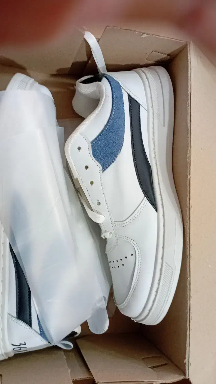 کفش|کیف، کفش، کمربند|قم, کلهری|دیوار