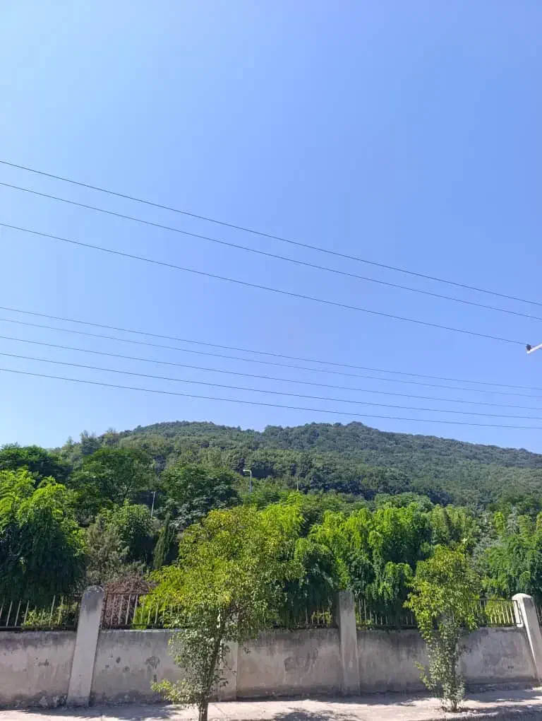 250متر ویلای جنگلینوساز / بدون واسطه|فروش خانه و ویلا|زیرآب, |دیوار