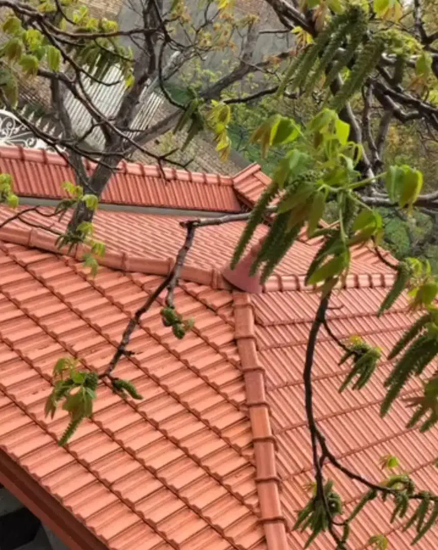 آلاچیق و شیروانی|خدمات پیشه و مهارت|اصفهان, محمودآباد|دیوار