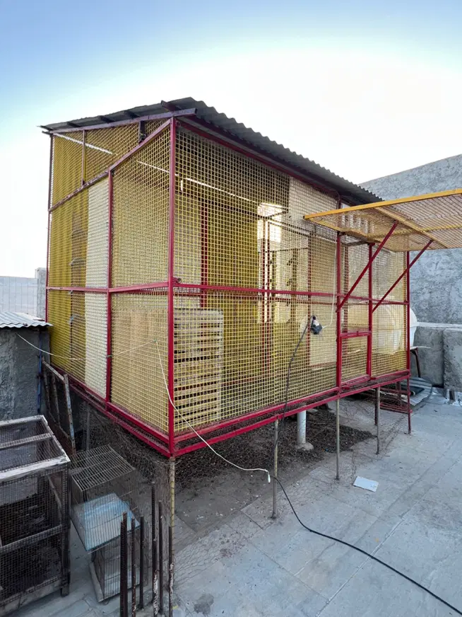 قفس|لوازم جانبی حیوانات|بندر گناوه, |دیوار