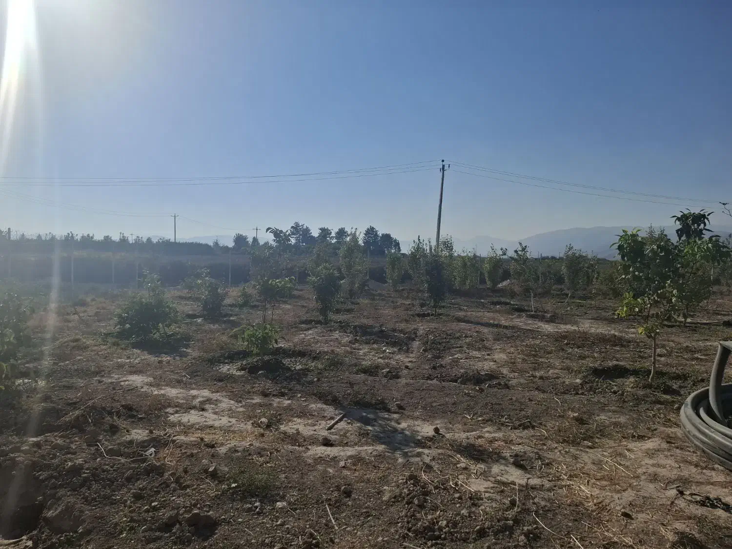 فروش باغ شهری|فروش خانه و ویلا|فیروزآباد (فارس), |دیوار