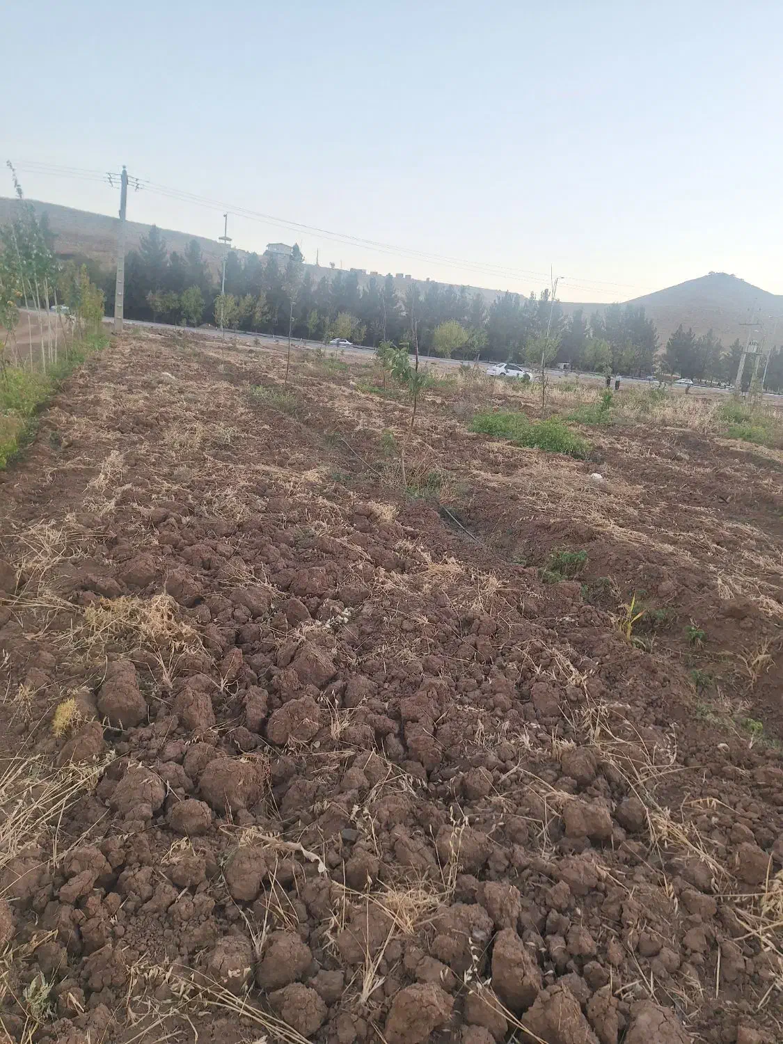 باغ ۴۵۰۰ بر اصل جاده سراب نیلوفر|فروش زمین و ملک کلنگی|کرمانشاه, |دیوار