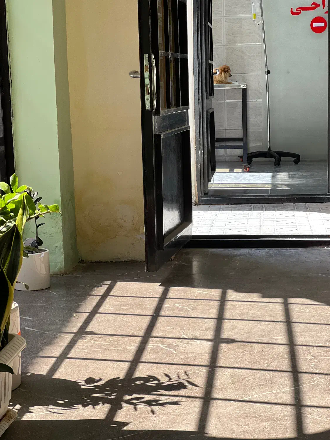 استخدام منشی کلینیک دامپزشکی|استخدام اداری و مدیریت|سیرجان, |دیوار