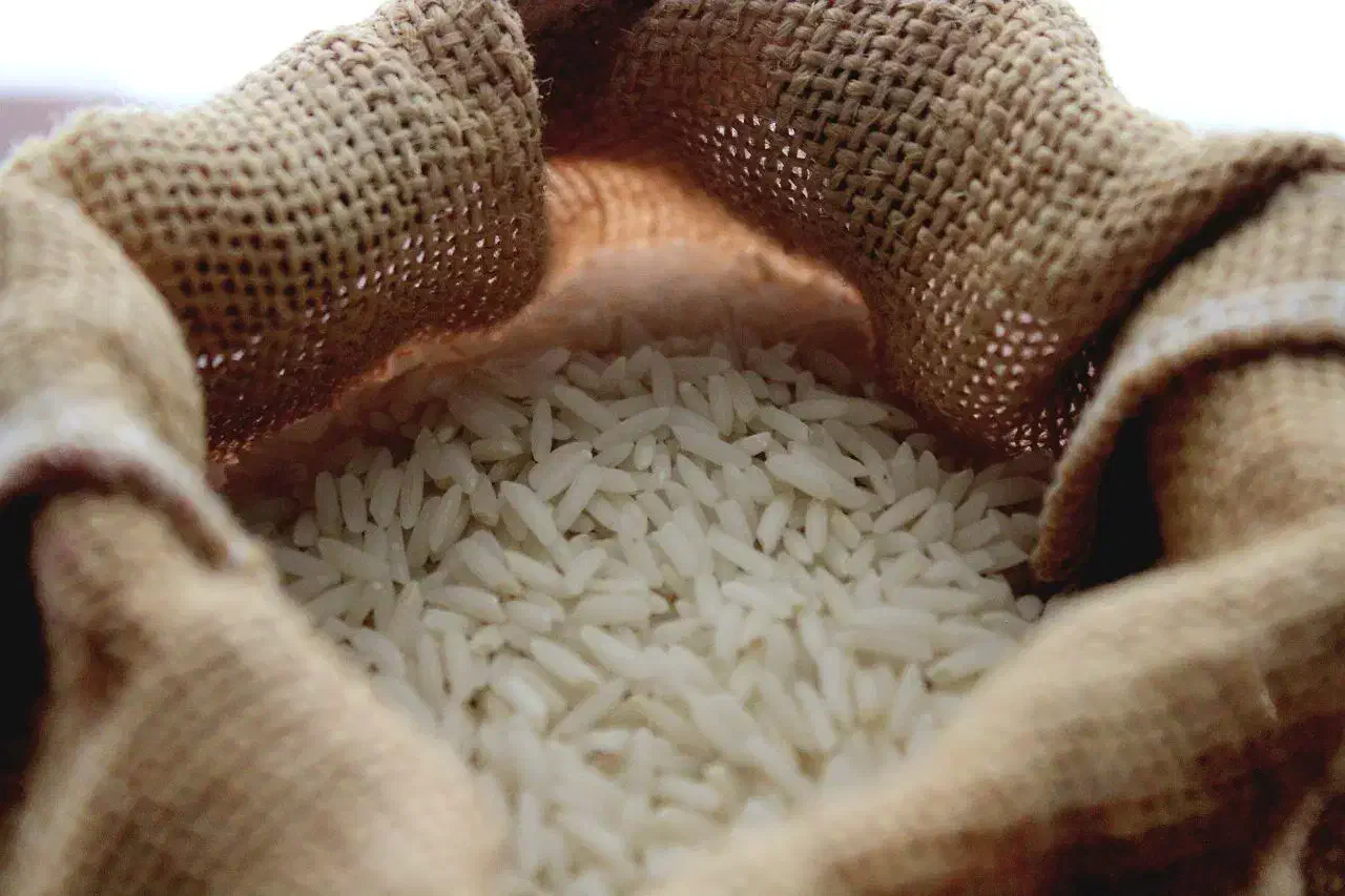 برنج طارم شمال (مازندران) رسید.|خوردنی و آشامیدنی|بندرعباس, |دیوار